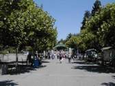 The University of California - Berkeley