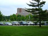 Michigan State University