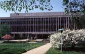 Michigan State University