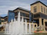 The University of Michigan - Ann Arbor